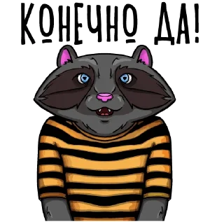 😽