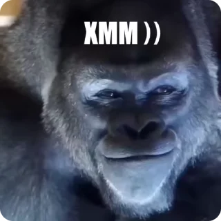 😉