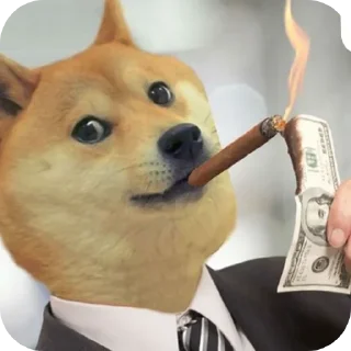🐶