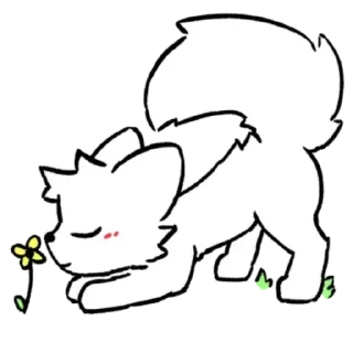 🐈