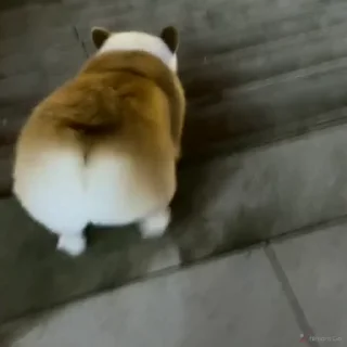 👋