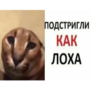 😔