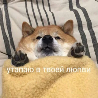милые милости и депрессия by @hyikery