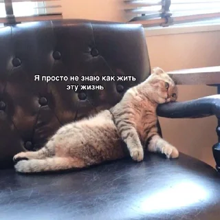 😔