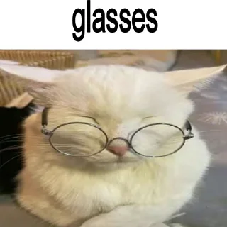 🐈