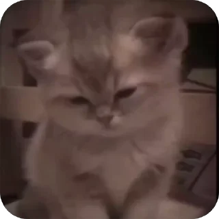 🥺