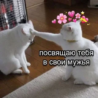💗