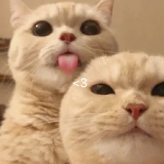 ❤️