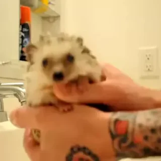 😠