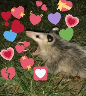 💕