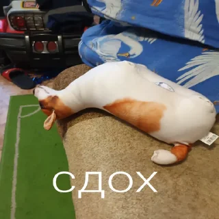 😴