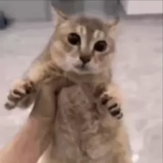 💀