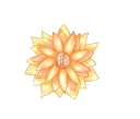 🌼