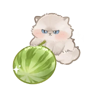 🍉