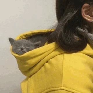 😴