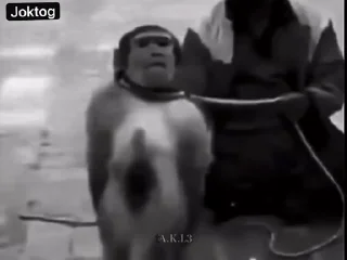 😂
