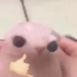🤙
