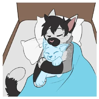 💤