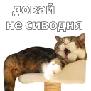 😴