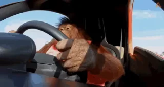 😎
