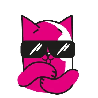 😎