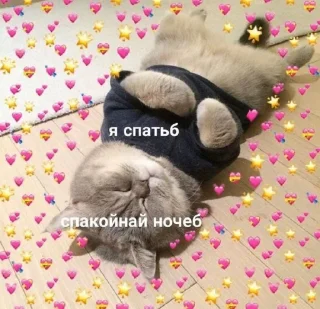 💤