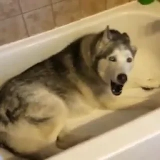 🛁