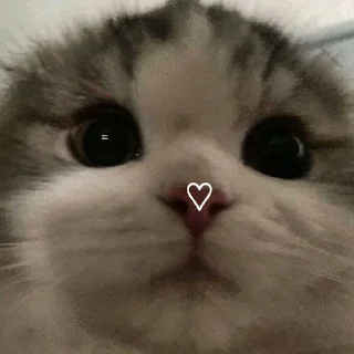 ❤️