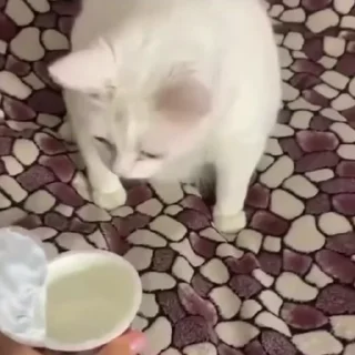🤮