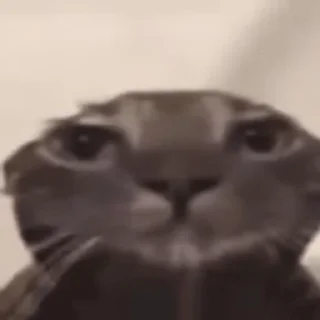 😳