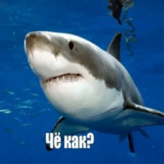 😐