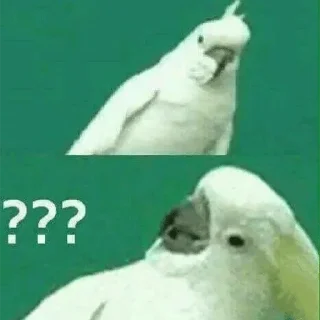🤔