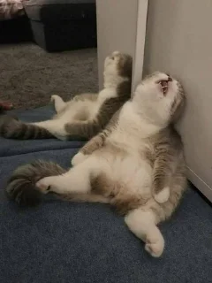 😫