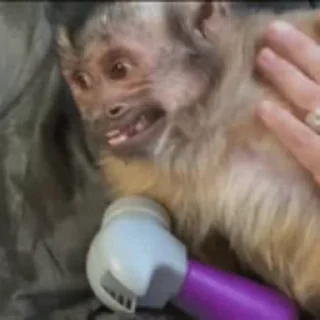 😁