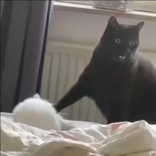 😡