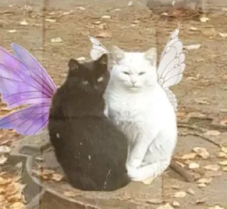 🎀
