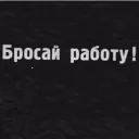 👤