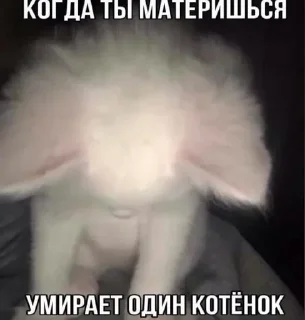 💒