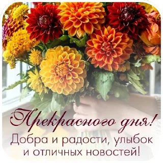 Открытки сборн #7 для @krolichi_lapochki