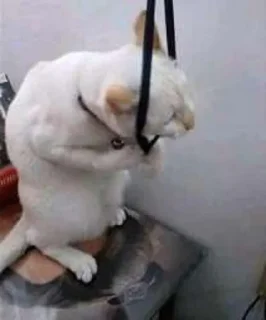 😭