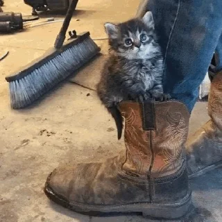 👢
