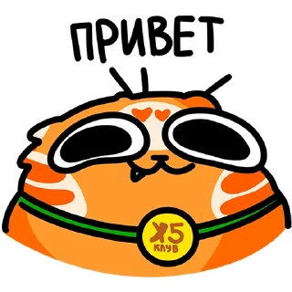chpic.su • @Premium_Emojis_Telegram | Рыжий кот Кешбэкс