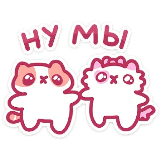 🐱