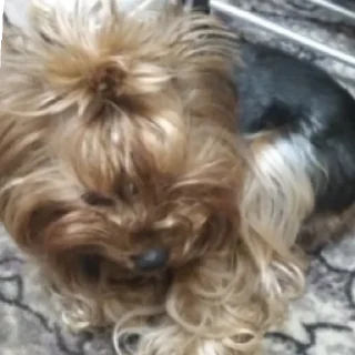😴