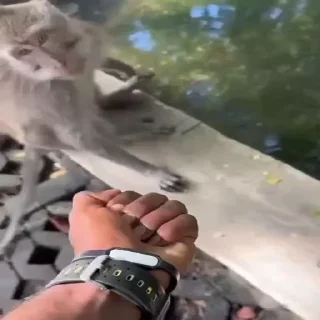 🖕