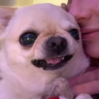🤬