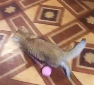 🥸