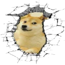 🐶
