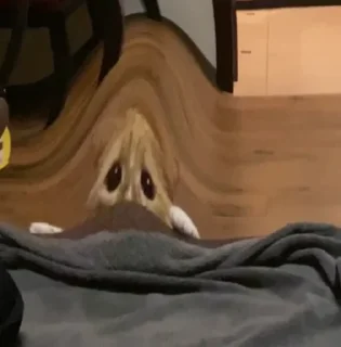 👶