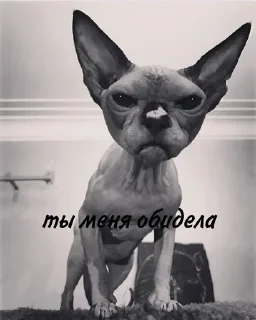 😰